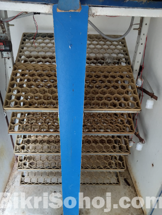 1,000 Auto Incubator matchine